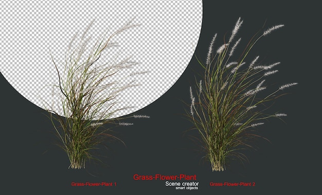 A variety of grasses and plants