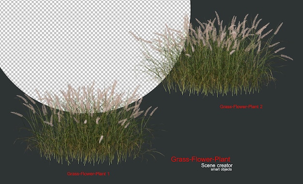 A variety of grasses and plants