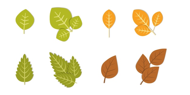 Variety of Leaf Illustrations for Autumn and Fall