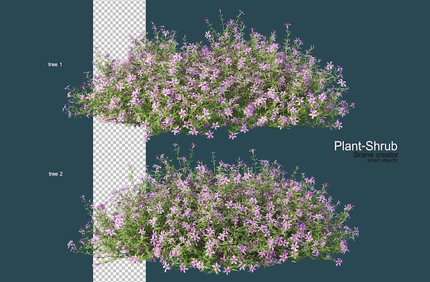 さまざまな花と低木