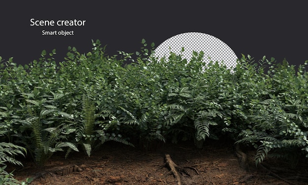variety of small plants isolated small plants clipping path