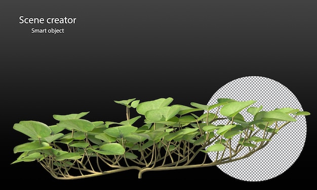 PSD さまざまな小さな植物が小さな植物のクリッピングパスを分離しました