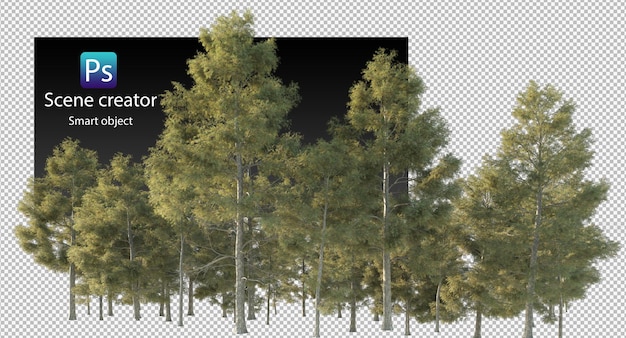 PSD さまざまな樹木が孤立してレンダリングされます
