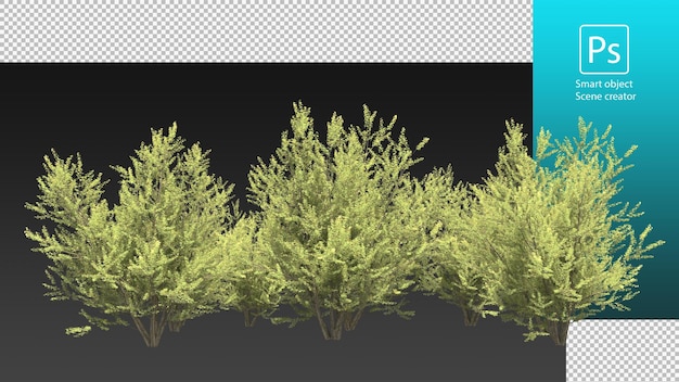 Variety plants and trees clipping path