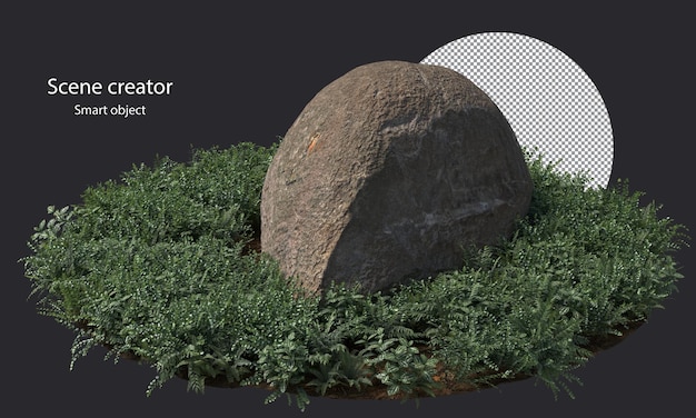 Variety of rock surrounded by small plants isolated stone and small plants clipping path
