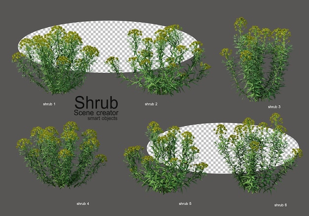 Una varietà di arbusti e fiori