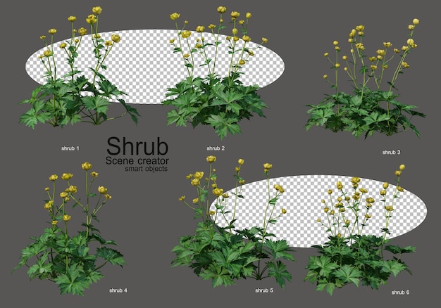 Una varietà di arbusti e fiori