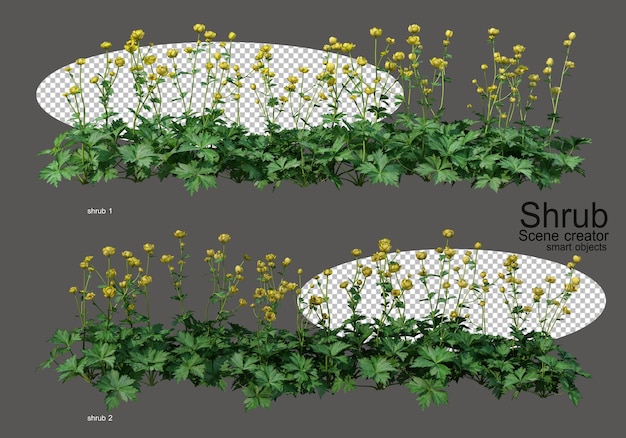 Una varietà di arbusti e fiori