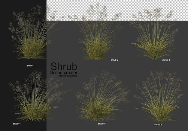 PSD a variety of shrubs