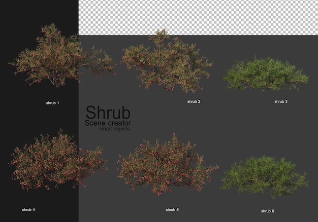 PSD a variety of shrubs