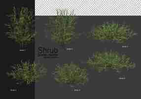 PSD a variety of shrubs