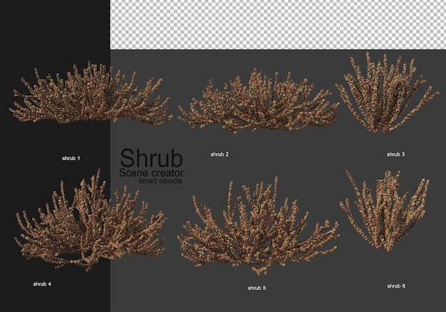 PSD a variety of shrubs