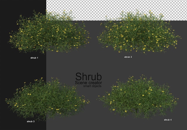 A variety of shrubs