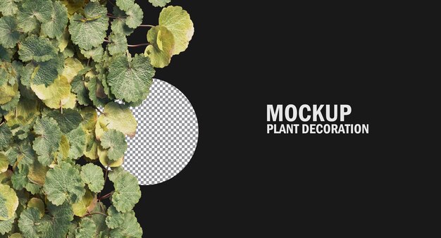 Разнообразие мелких растений и цветов