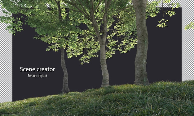variety of small plants grass field and trees isolated small plants clipping path