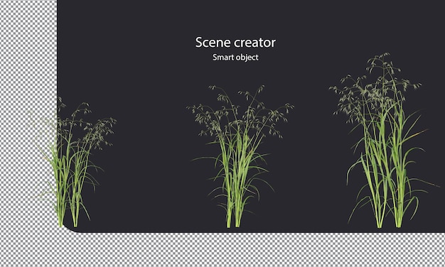 Variety small plants isolated oat plants clipping path