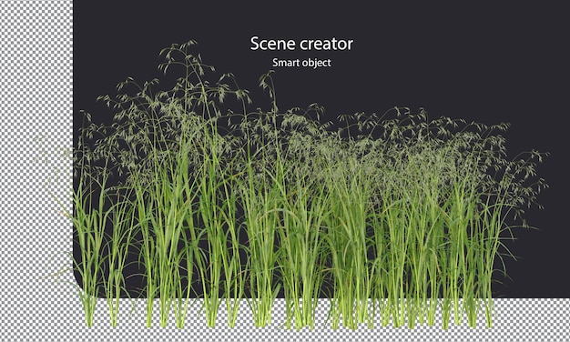 PSD 様々 な小さな植物分離エンバク植物クリッピング パス