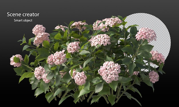 PSD variety of small plants isolated small plants clipping path