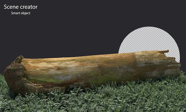 PSD variety of stump surrounded by small plants isolated stump and small plants clipping path