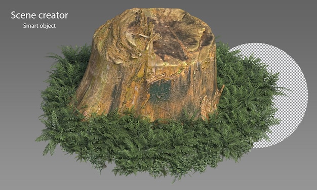 PSD variety of stump surrounded by small plants isolated stump and small plants clipping path