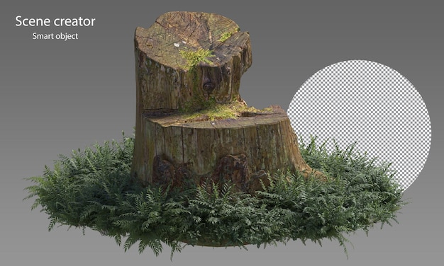 Variety of stump surrounded by small plants isolated stump and small plants clipping path