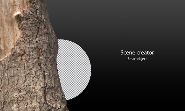 Variety of stump surrounded by small plants isolated stump and small plants clipping path