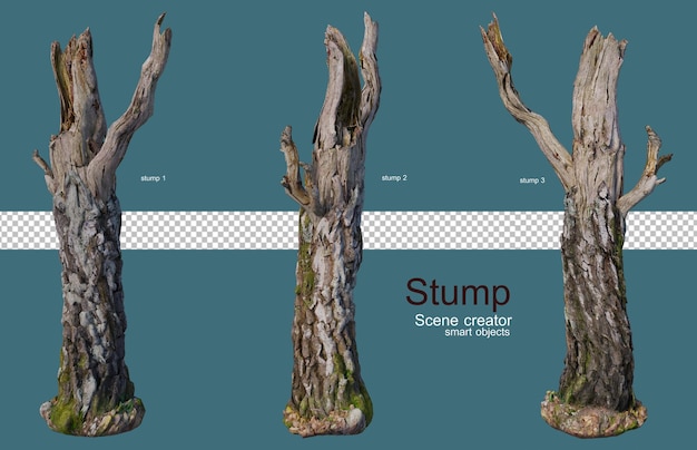 A variety of stumps