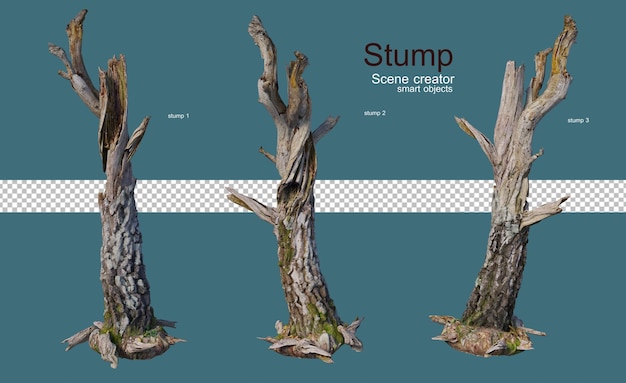 A variety of stumps