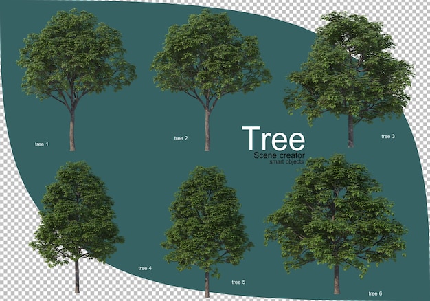 Variety of trees in 3d rendering