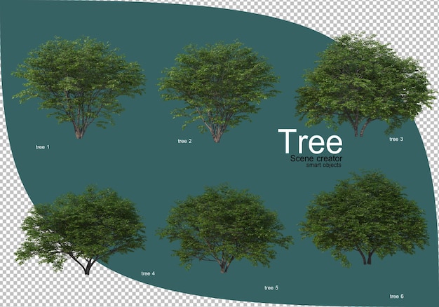 Variety of trees in 3d rendering