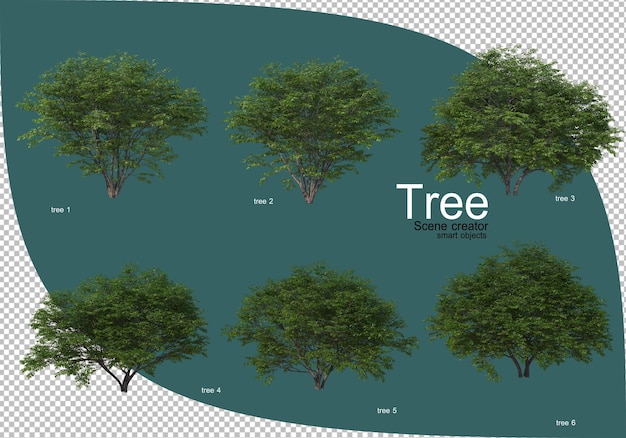 Varietà di alberi nel rendering 3d