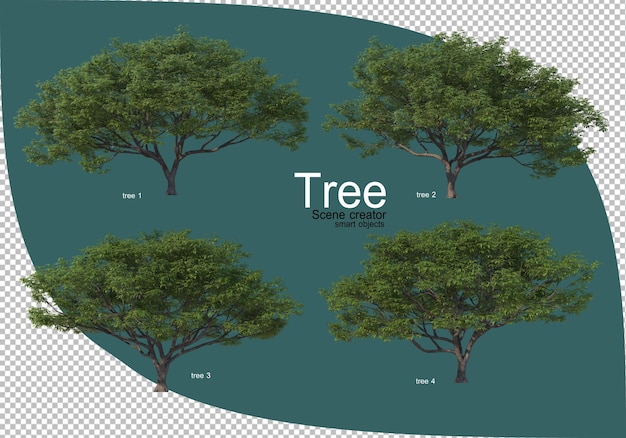 Varietà di alberi nel rendering 3d