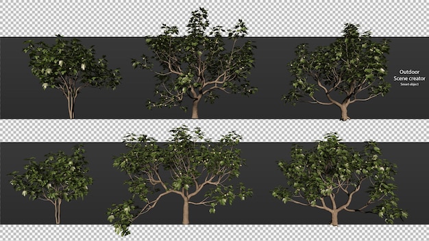 Alberi di varietà percorso di ritaglio alberi isolati rendering 3d albero