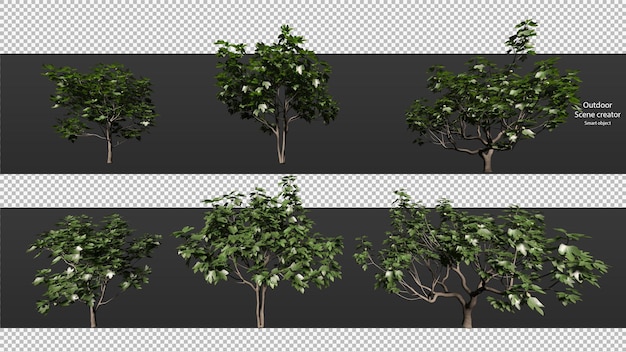 variety trees clipping path trees isolated  3d tree rendering