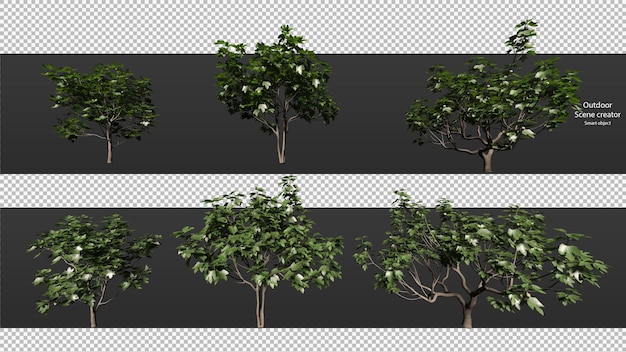 Variety trees clipping path trees isolated  3d tree rendering