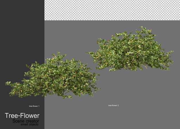 PSD variety of trees and flowers