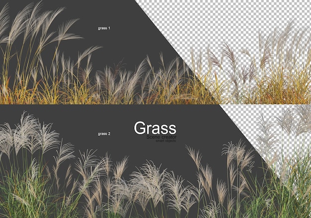 PSD variety of trees and grass