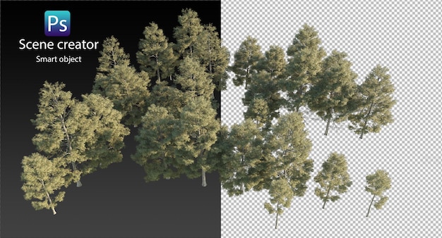 PSD variety of trees rendering isolated