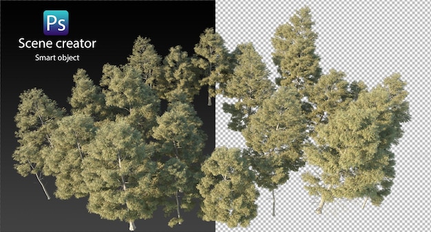 PSD variety of trees rendering isolated