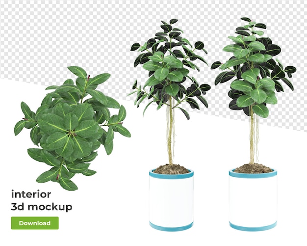 PSD Различные декоративные растения в горшке 3d-рендеринга