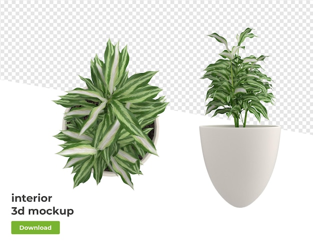 Various decoration plant in pot 3d rendering