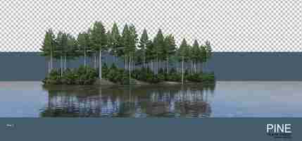 PSD various environments of pine forests