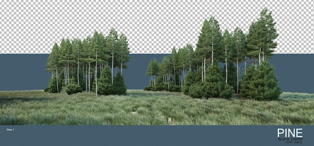 PSD various environments of pine forests