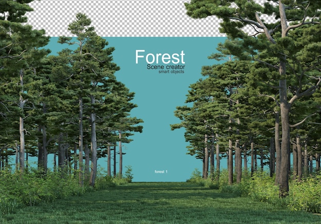 PSD various forms of forest