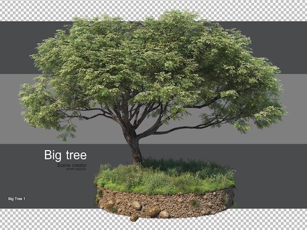 Varie forme di rendering di erba e alberi