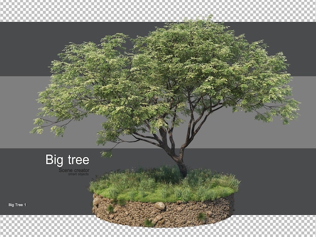 Varie forme di rendering di erba e alberi