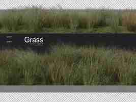 PSD various forms of grass rendering