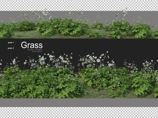 Various forms of grass rendering