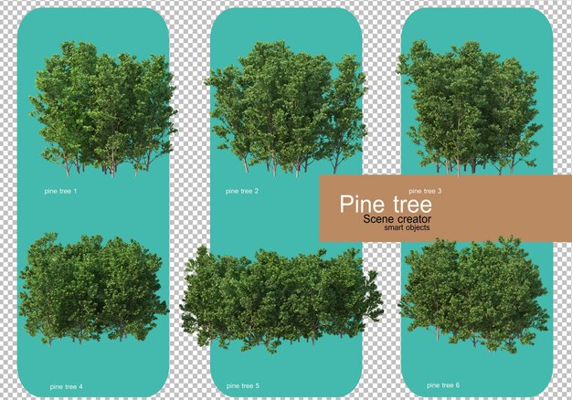 Various forms of pine trees rendering