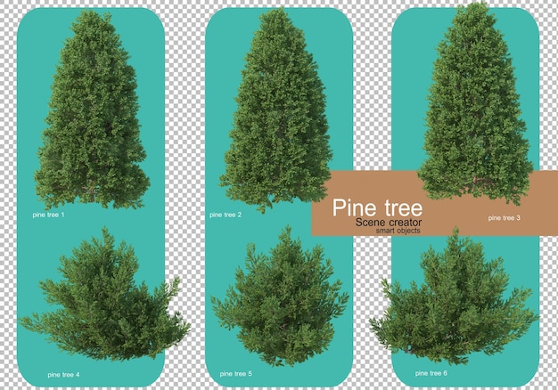 Varie forme di rendering di alberi di pino